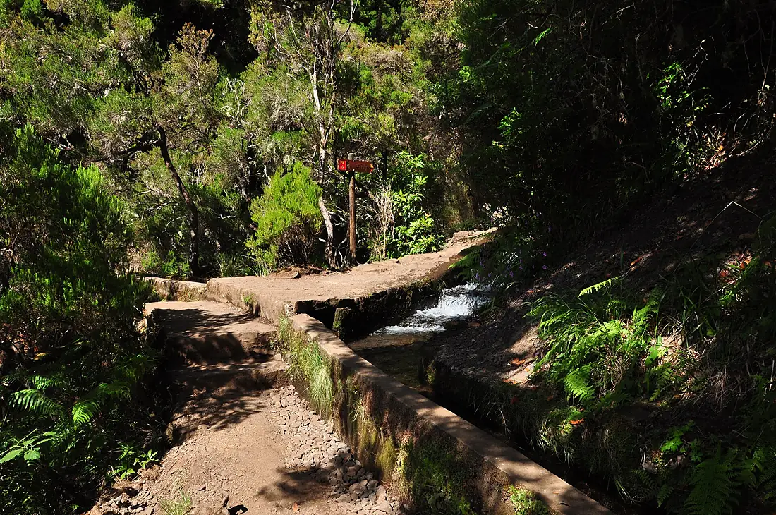 From Rabacal to Levada do Risco ^ Levada 25 Fontes, Madeira, Portugal, June-July 2011 - panoramio (36)