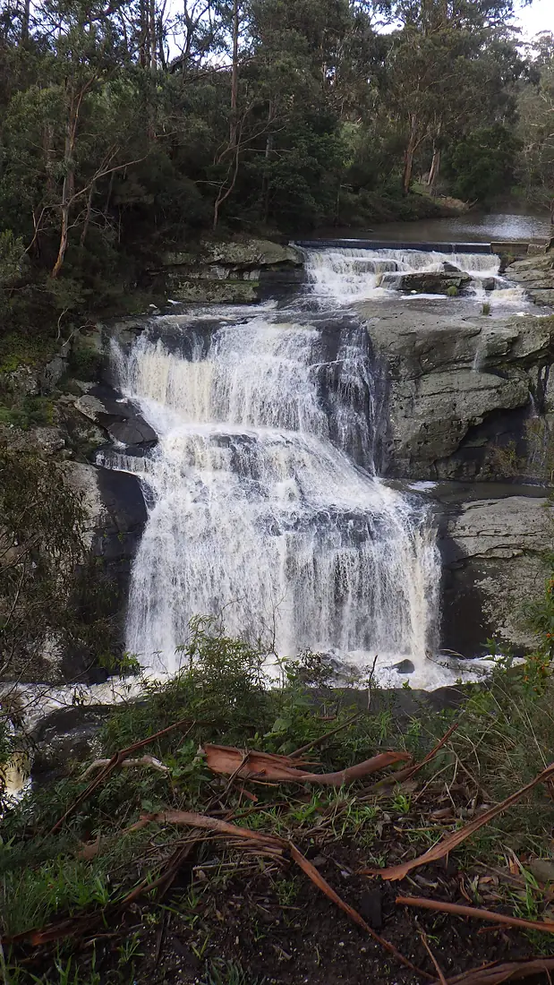 RIMG2579 Agnes Falls, South Gippsland, Victoria (Australia) 01