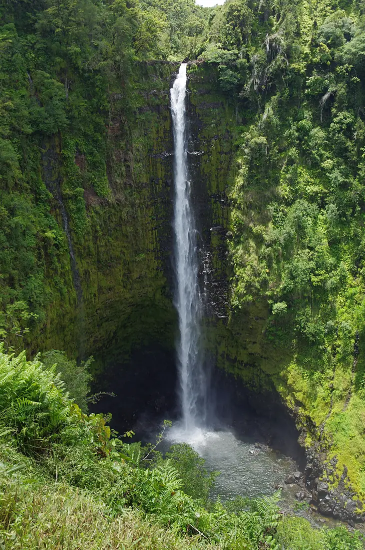 'Akaka Falls, which drops 442 feet straight down. (28507102260)