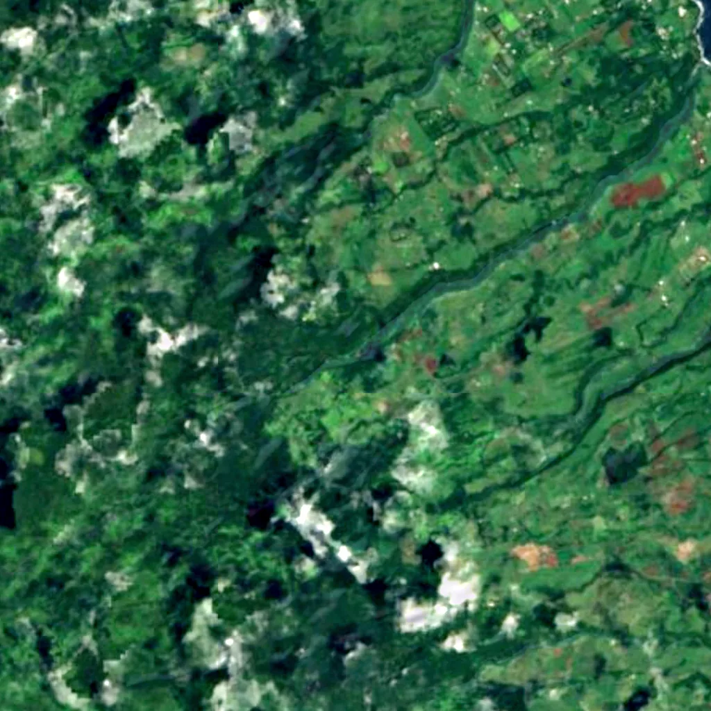 Akaka Falls State Park seen from above (Sentinel-2)