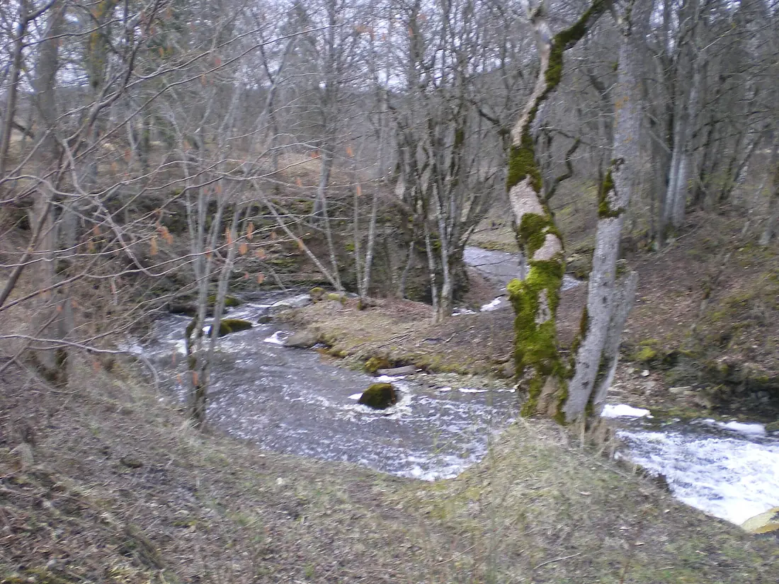 Aluoja1 2006