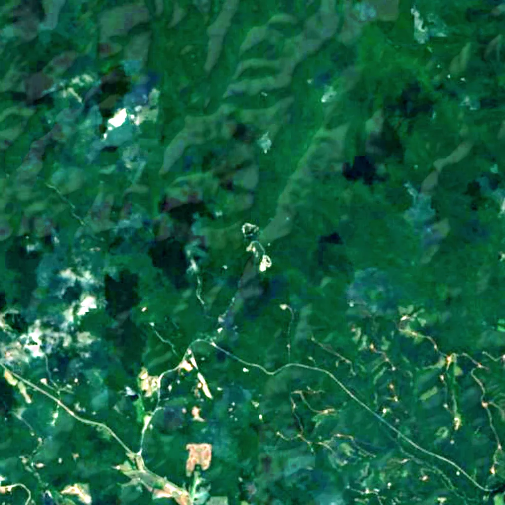 Amicalola Falls seen from above (Sentinel-2)
