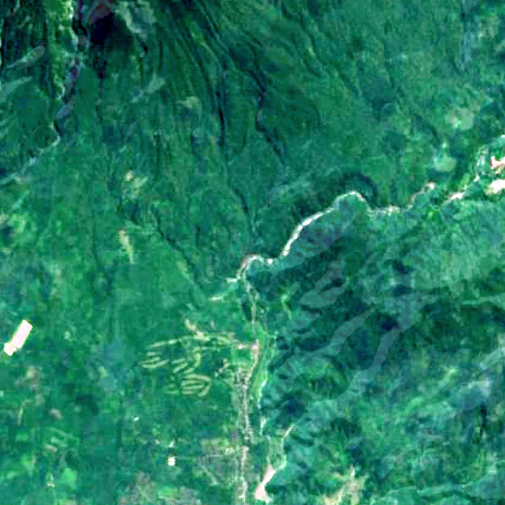 Anai valley seen from above (Sentinel-2)
