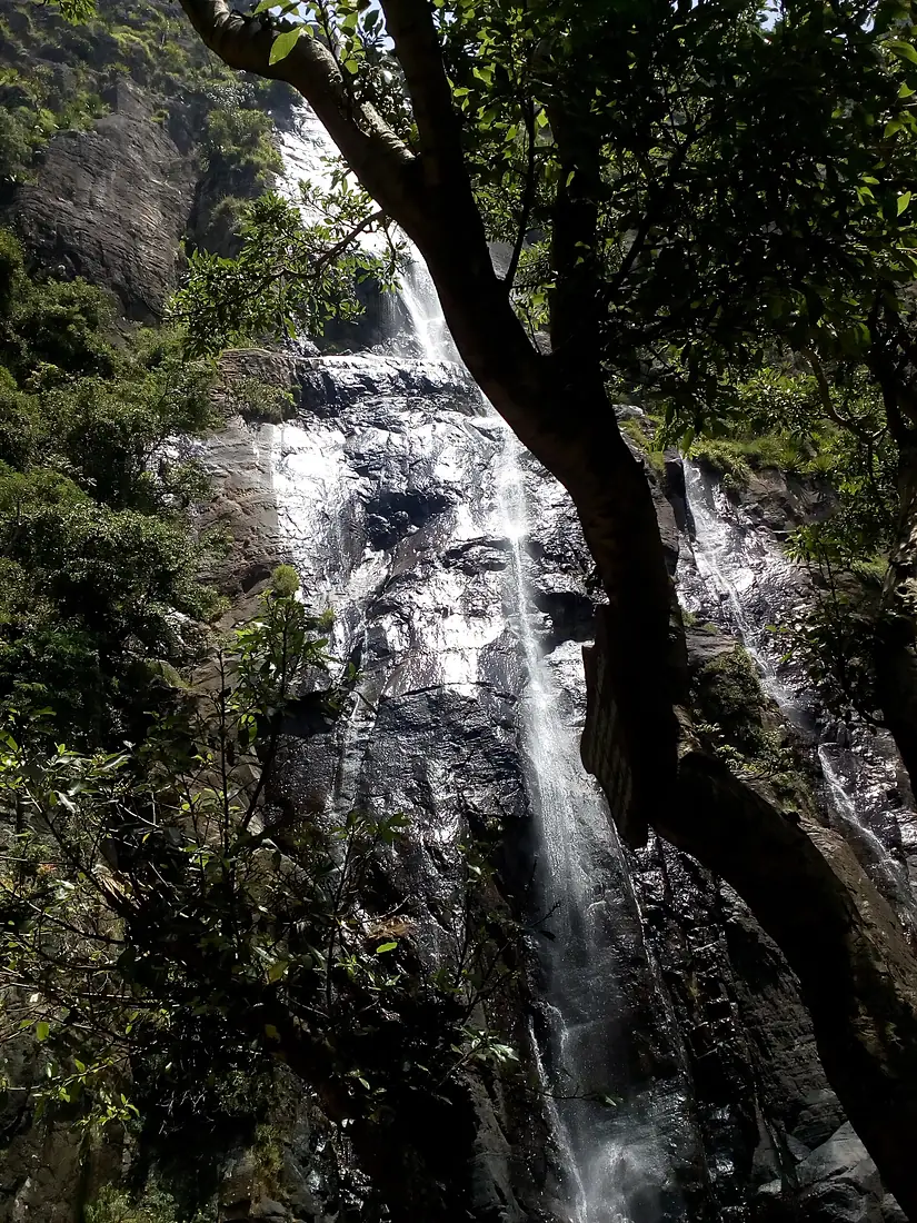 A close up of Bambarakanda Waterfall in Sri Lanka