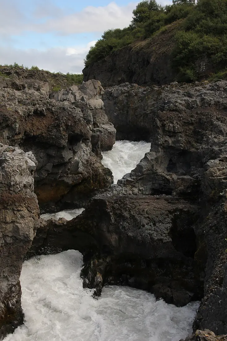 Barnafoss 2014