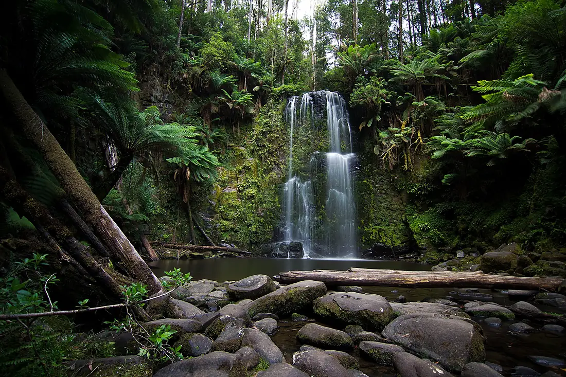 Beauchamp Falls, Great Otway National Park VIC