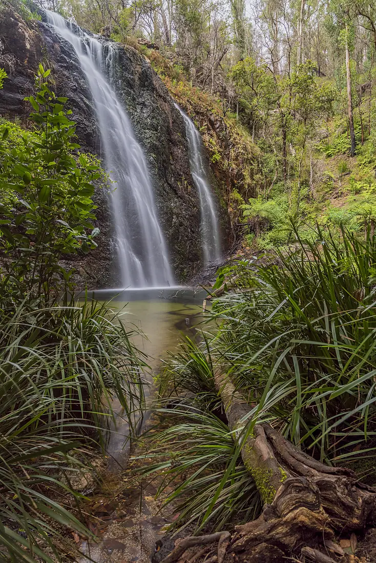 Boundary Falls in Gibraltar Range National Park