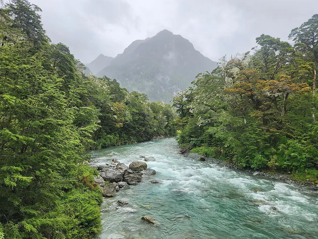 Route Burn River near Routeburn Shelter