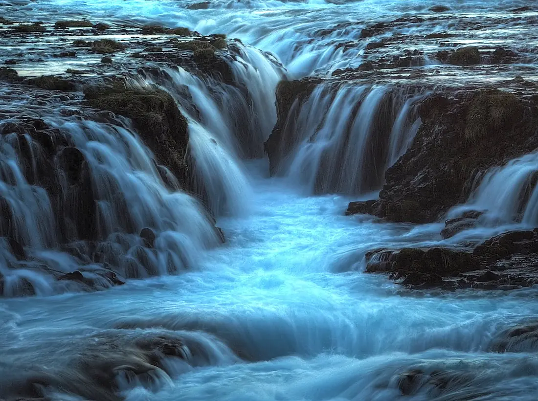 Blue Braurfoss Up Close