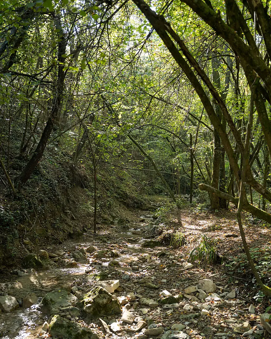 Torrente Bucamante - Serramazzoni, Modena, Italia - 8 Ottobre 2022