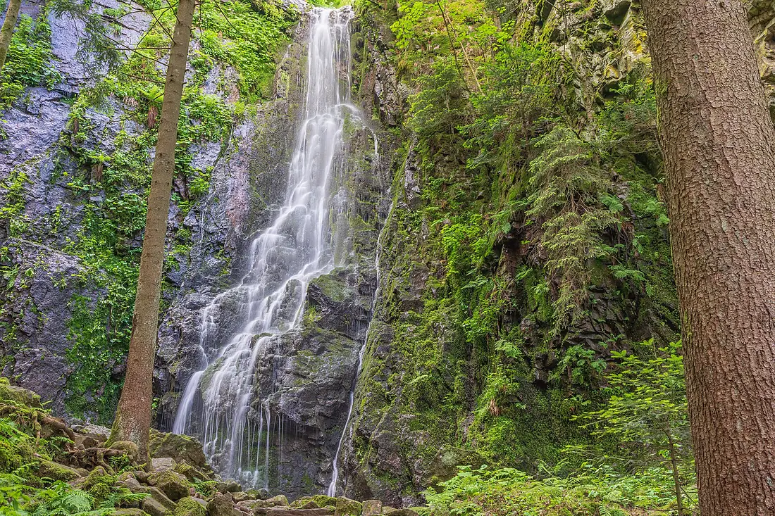 Bad Rippoldsau-Schapbach Burgbachwasserfall Bild 2