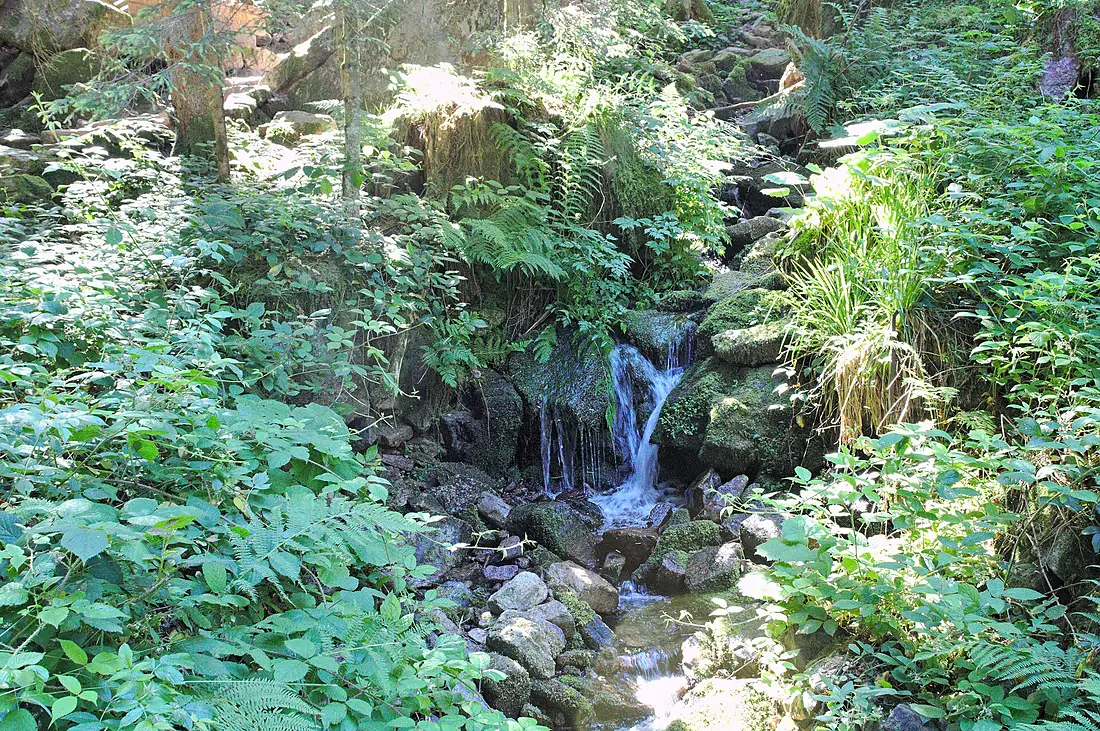 Burgbachwasserfall IMG 3036