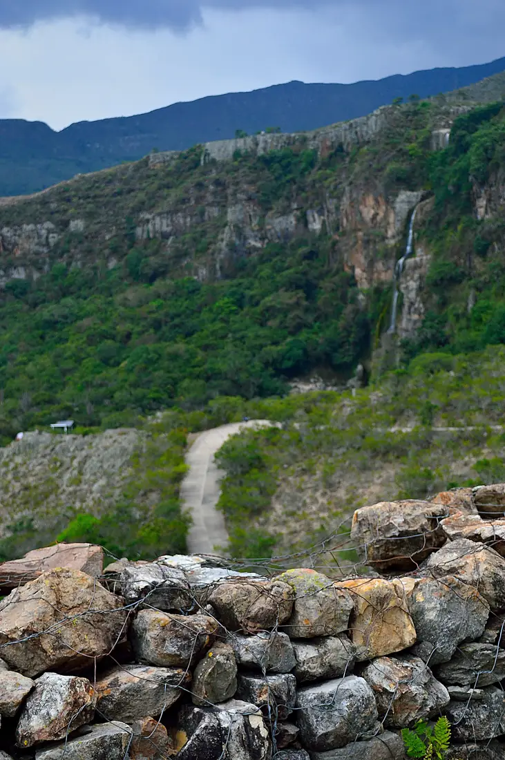 Camino cascada 'El vino' Edo. Lara - Venezuela
