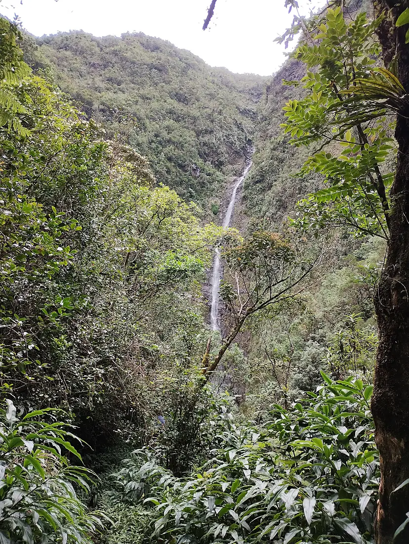 Cascade biberon