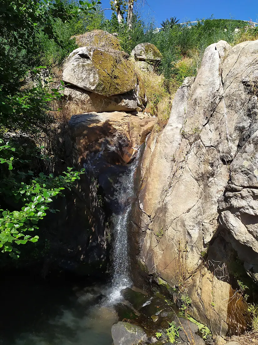Pantanha