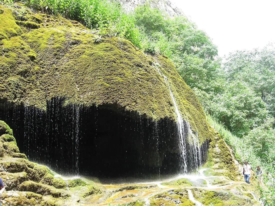 Zontikner, Karabagh