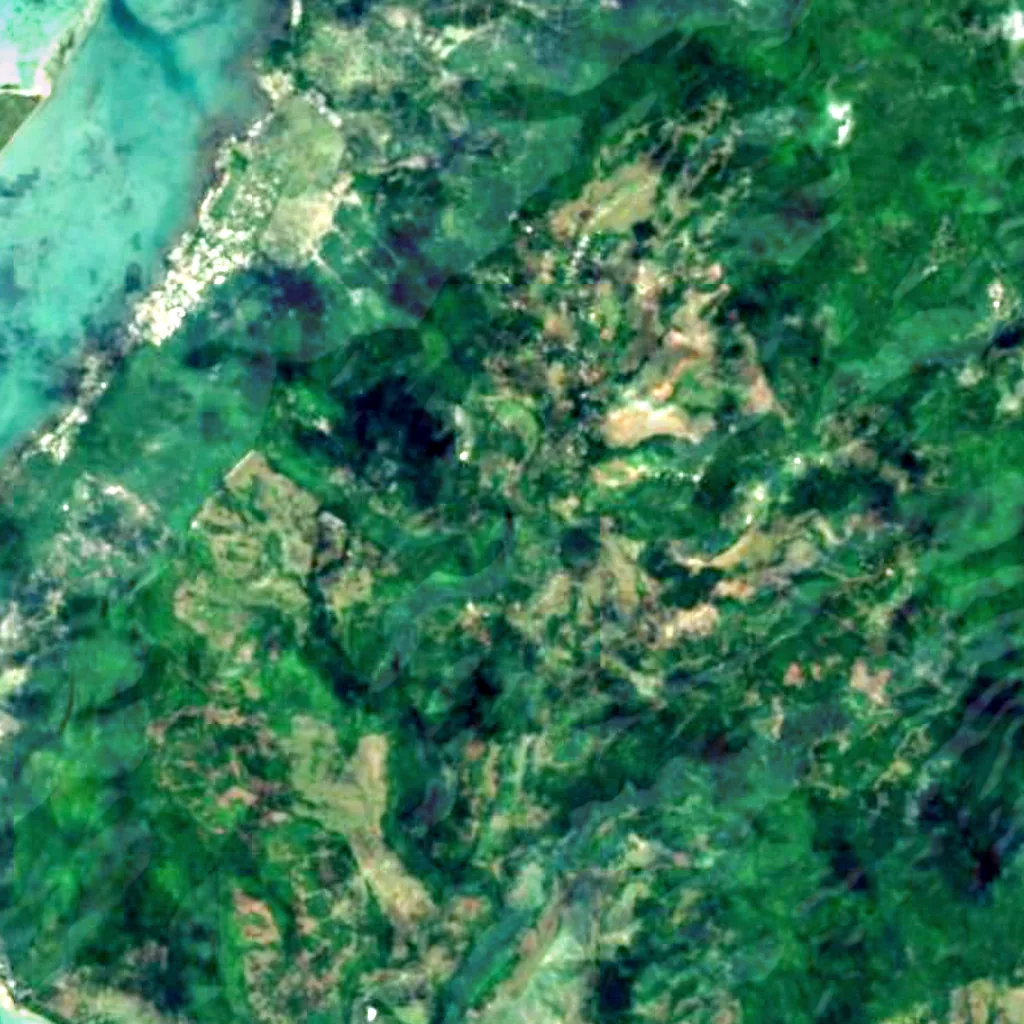 Chamarel Falls seen from above (Sentinel-2)