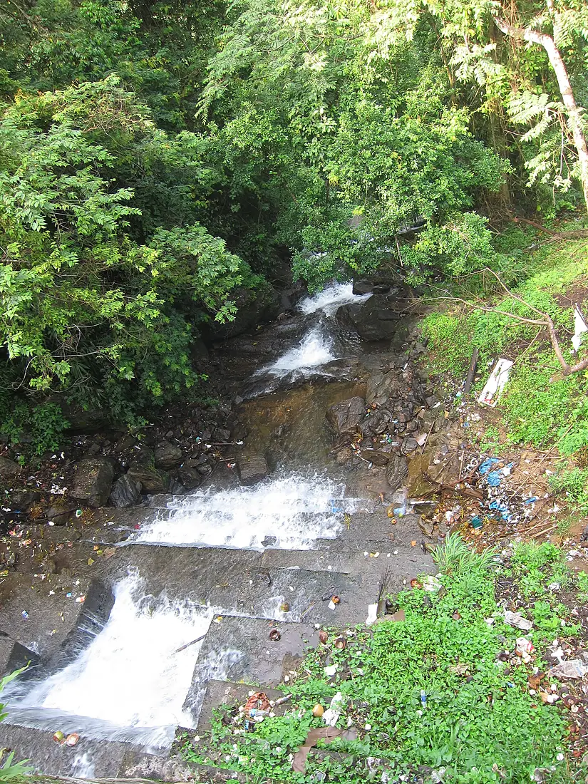 Cheeyappara Waterfalls - ചീയപ്പാറ വെള്ളച്ചാട്ടം 01