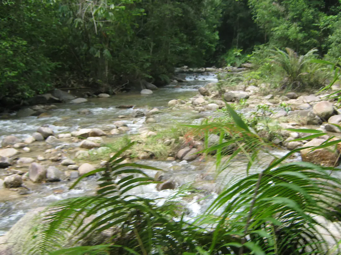 Chiling Waterfall River - panoramio