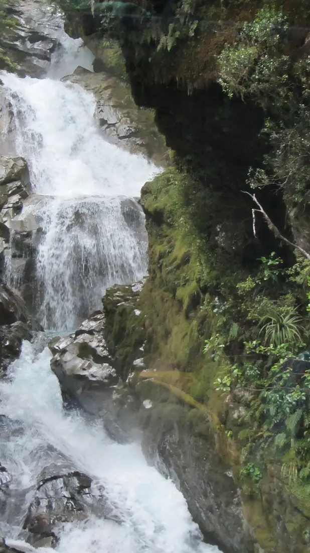 Milford Sound Hwy, South Island (483011) (9482225335)