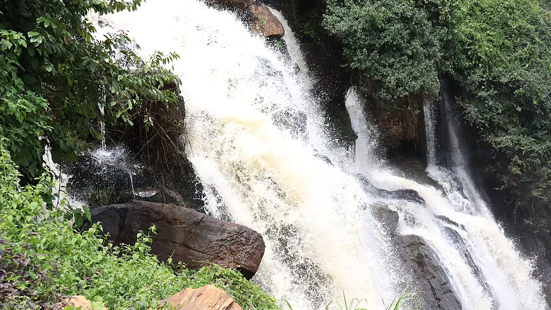 Chute boali