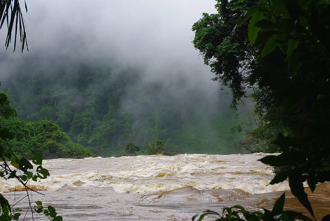 Chute d'Ekom, versant droit, à Mboué