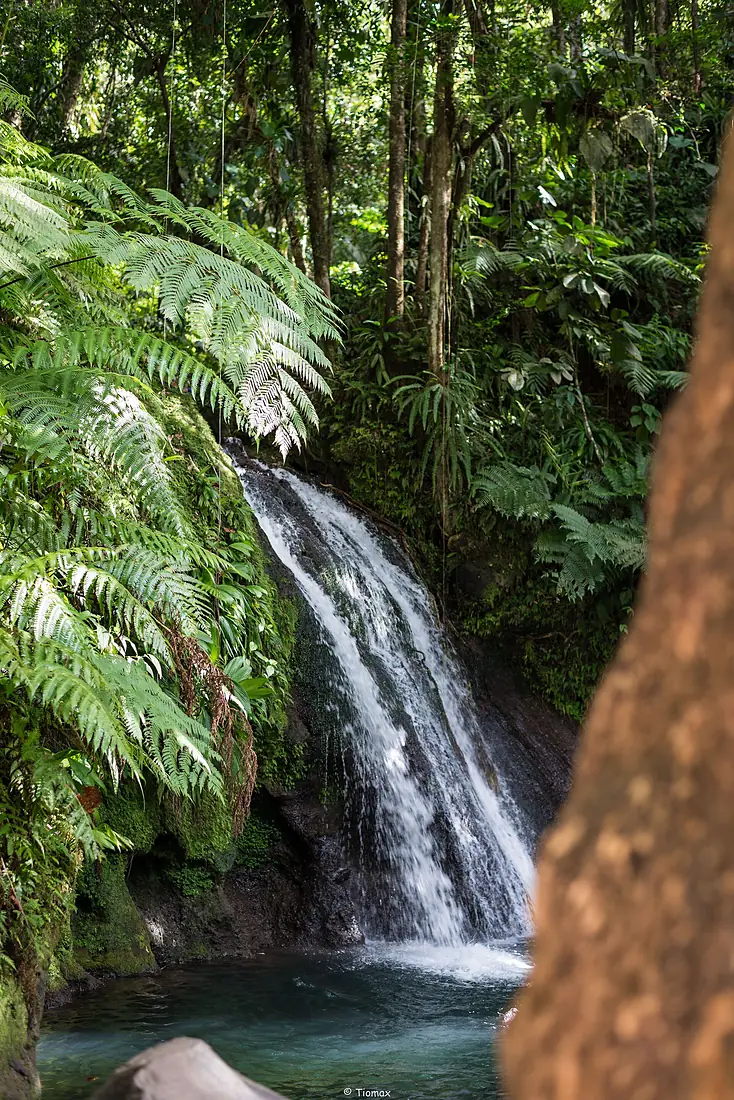 Cascade aux Écrevisses (47974904062)