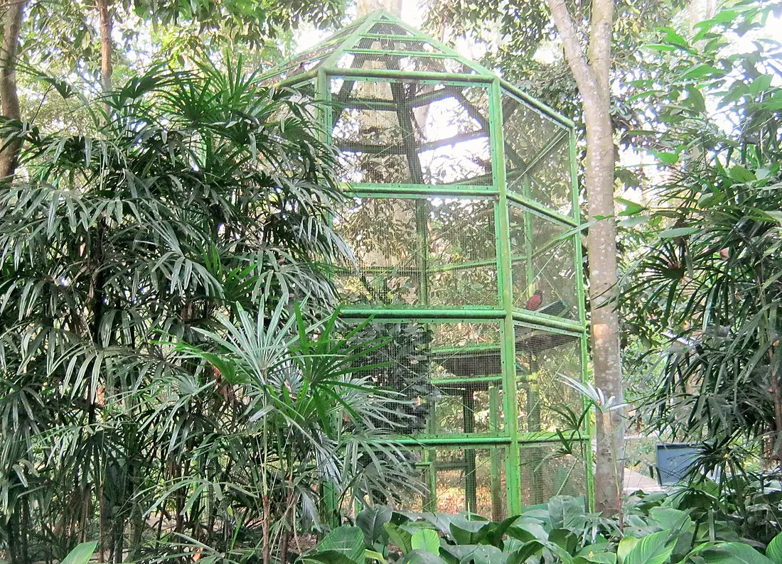 Burung Taman Hutan Raya Ir. Djuanda Dago Bandung - panoramio