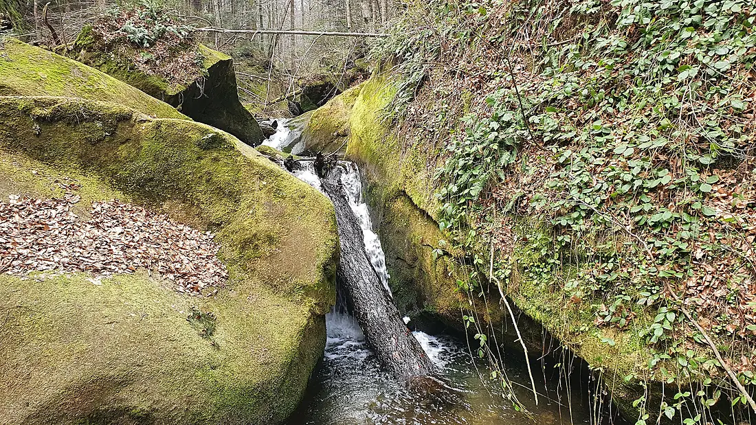 Дарваївські водоспади 01
