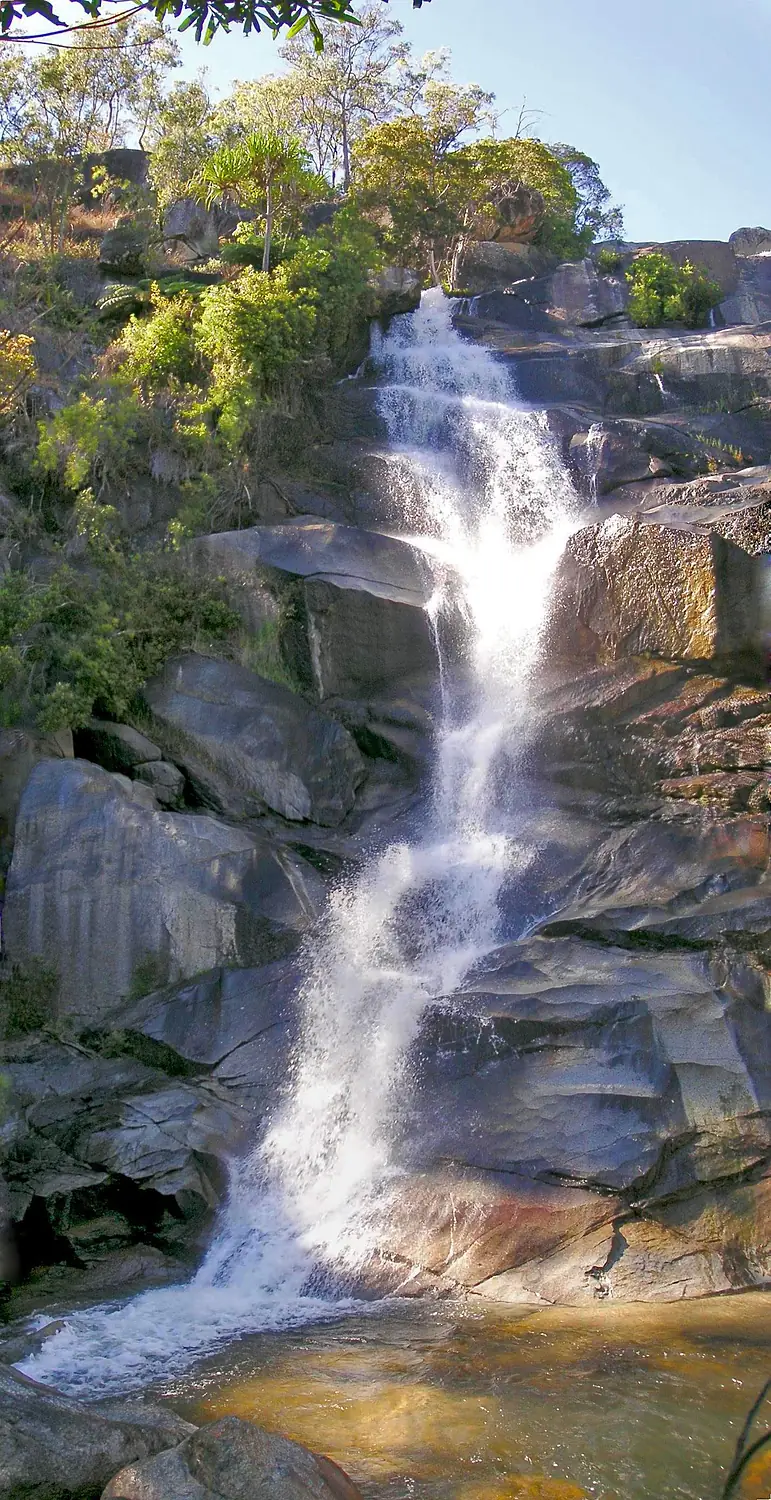 Davies creek NP