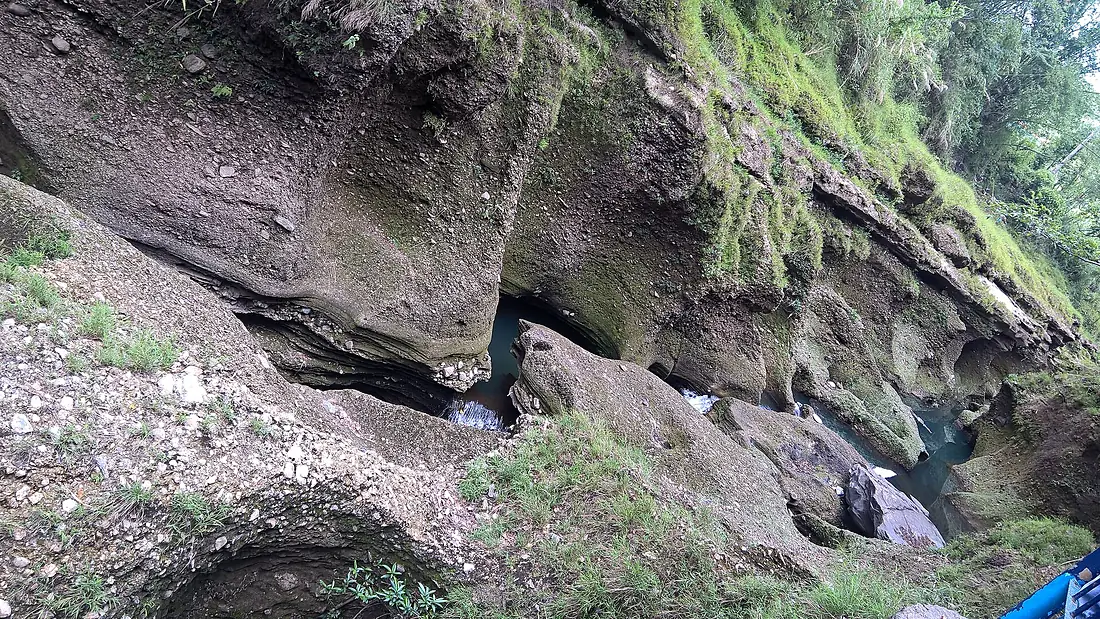 Davi's Fall