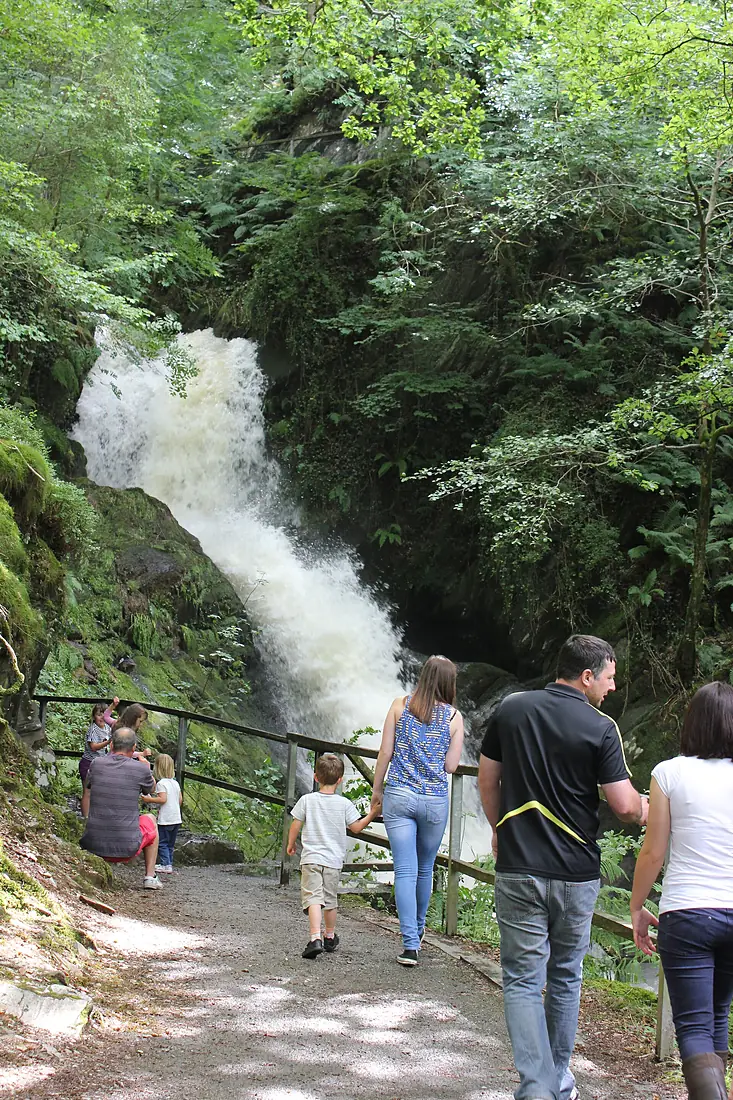 Dolgoch falls - 9560205739