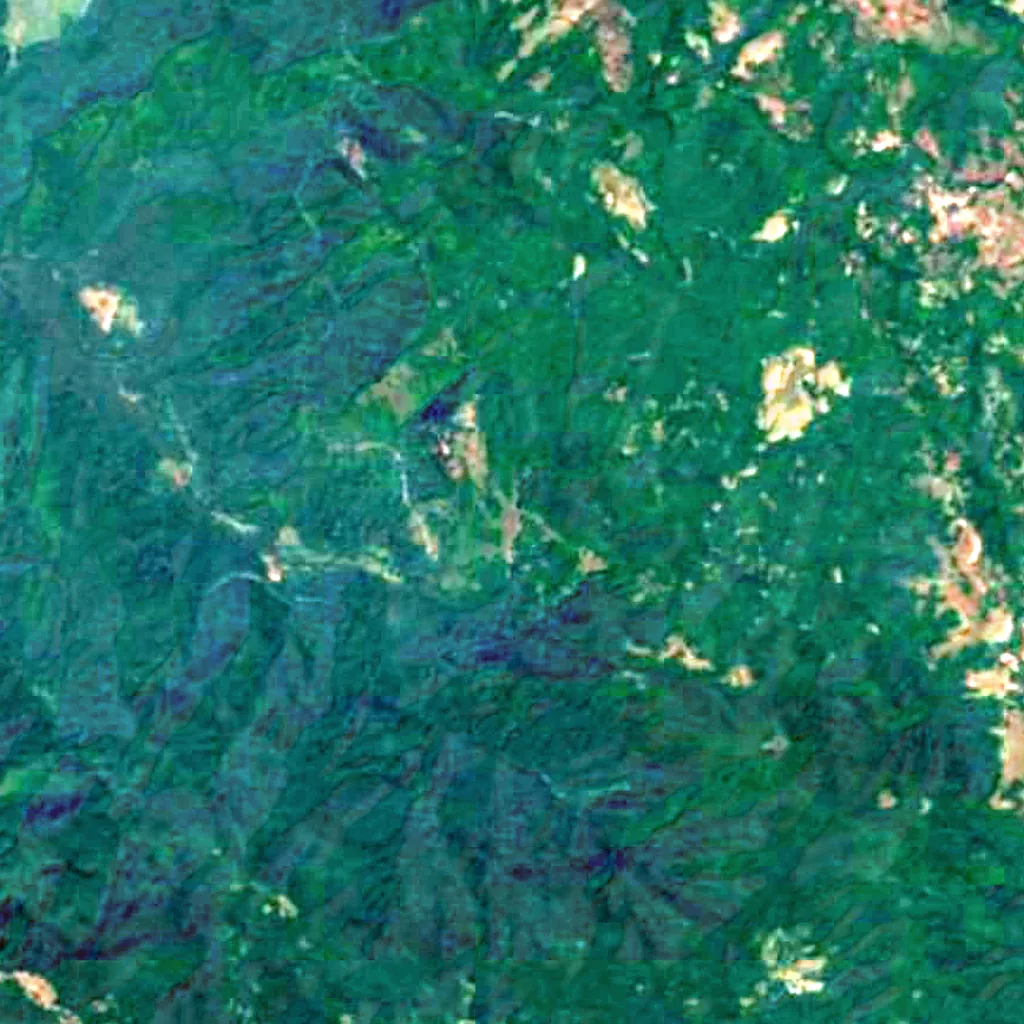 Dudhsagar Falls seen from above (Sentinel-2)