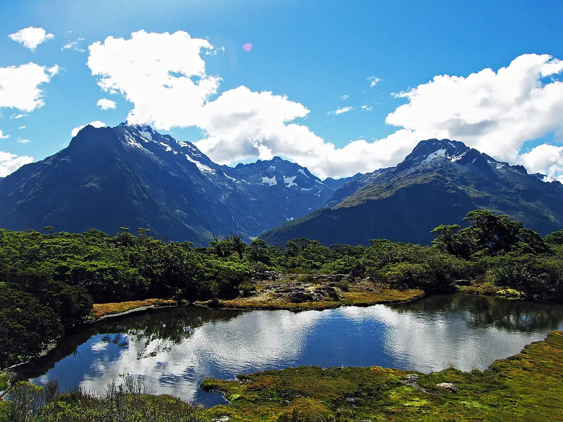 New Zealand - Flickr - GregTheBusker