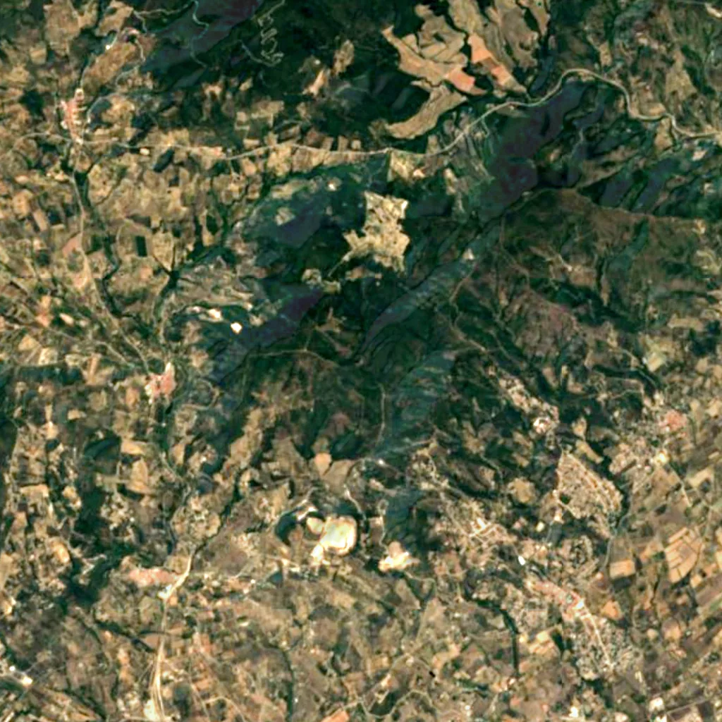 El Salt seen from above (Sentinel-2)