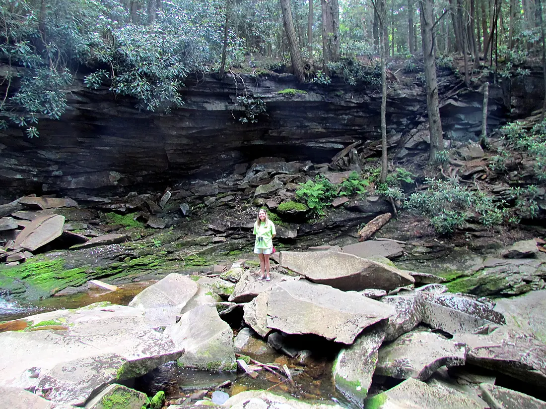 Elakala Falls Trail Blackwater State Park WV 8293