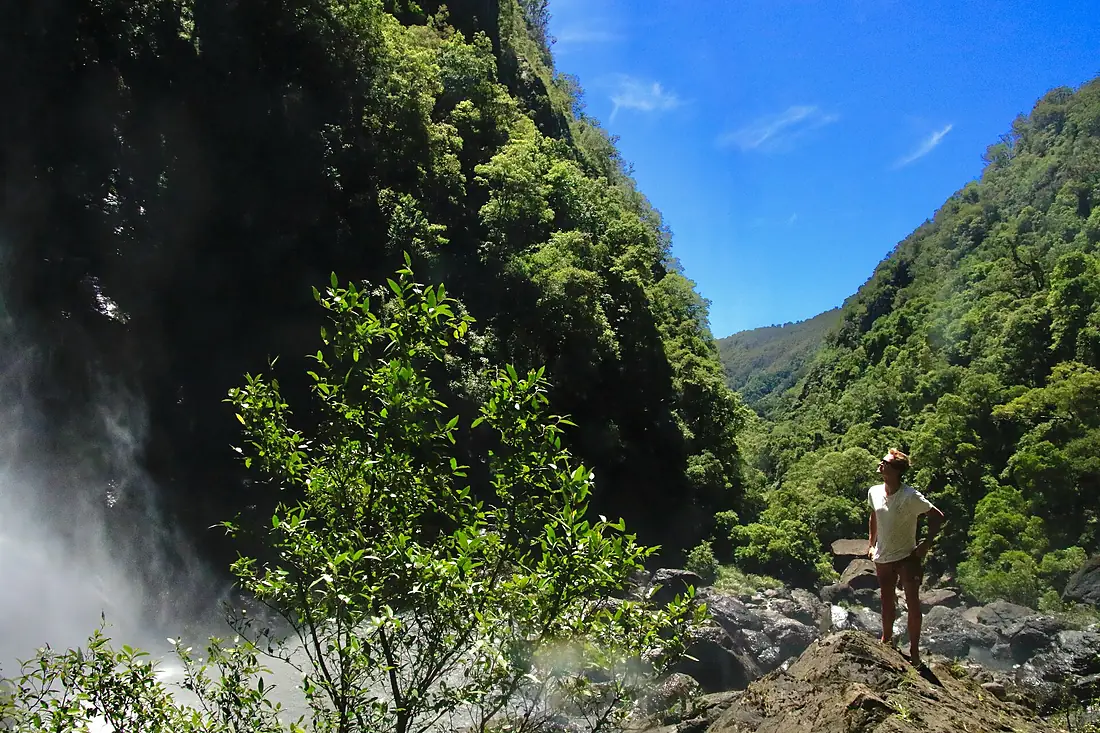 Ellenborough Falls, Biriwal Bulga National Park, NSW