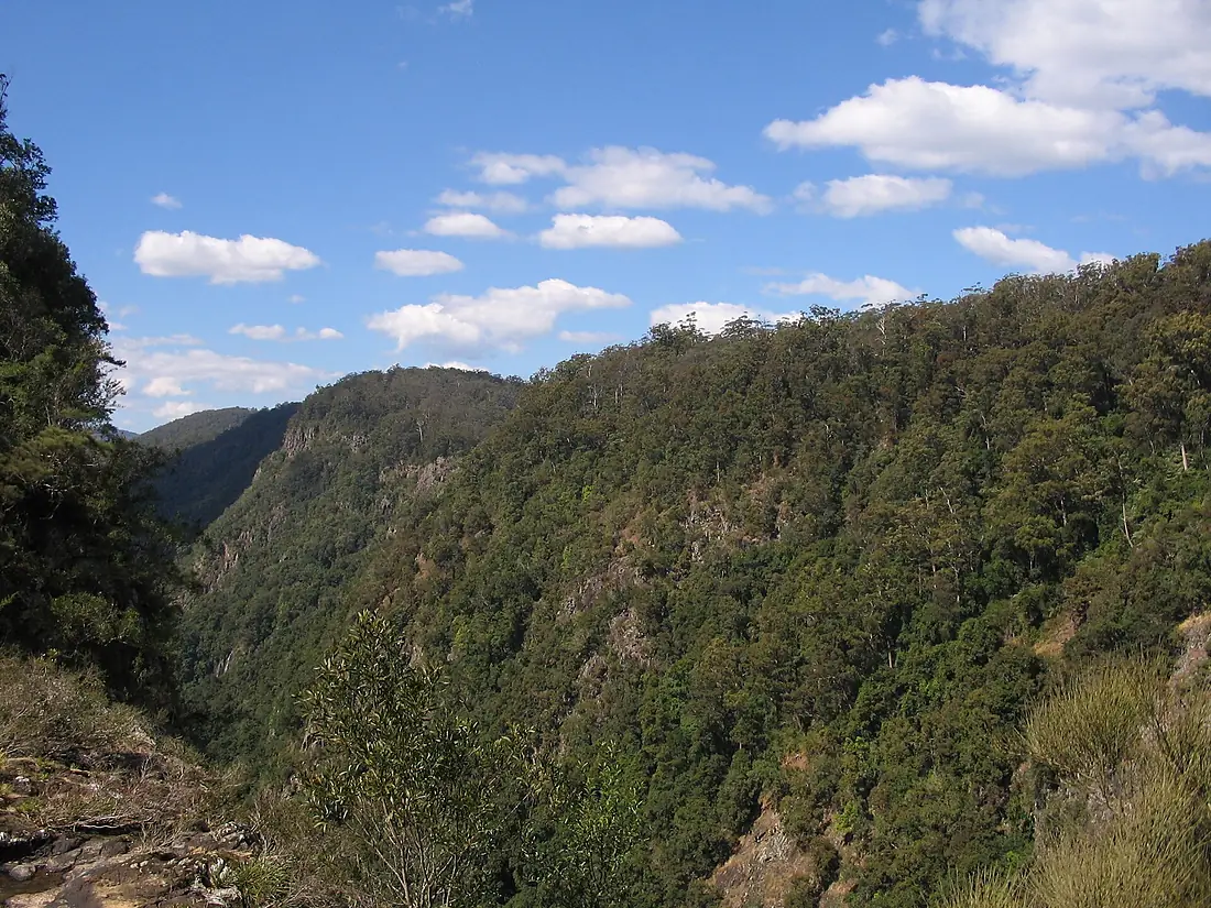 The 2nd digital photo of the Ellenborough Falls was taken on the Sunday, 6th September 2009 at 12-20pm. - panoramio