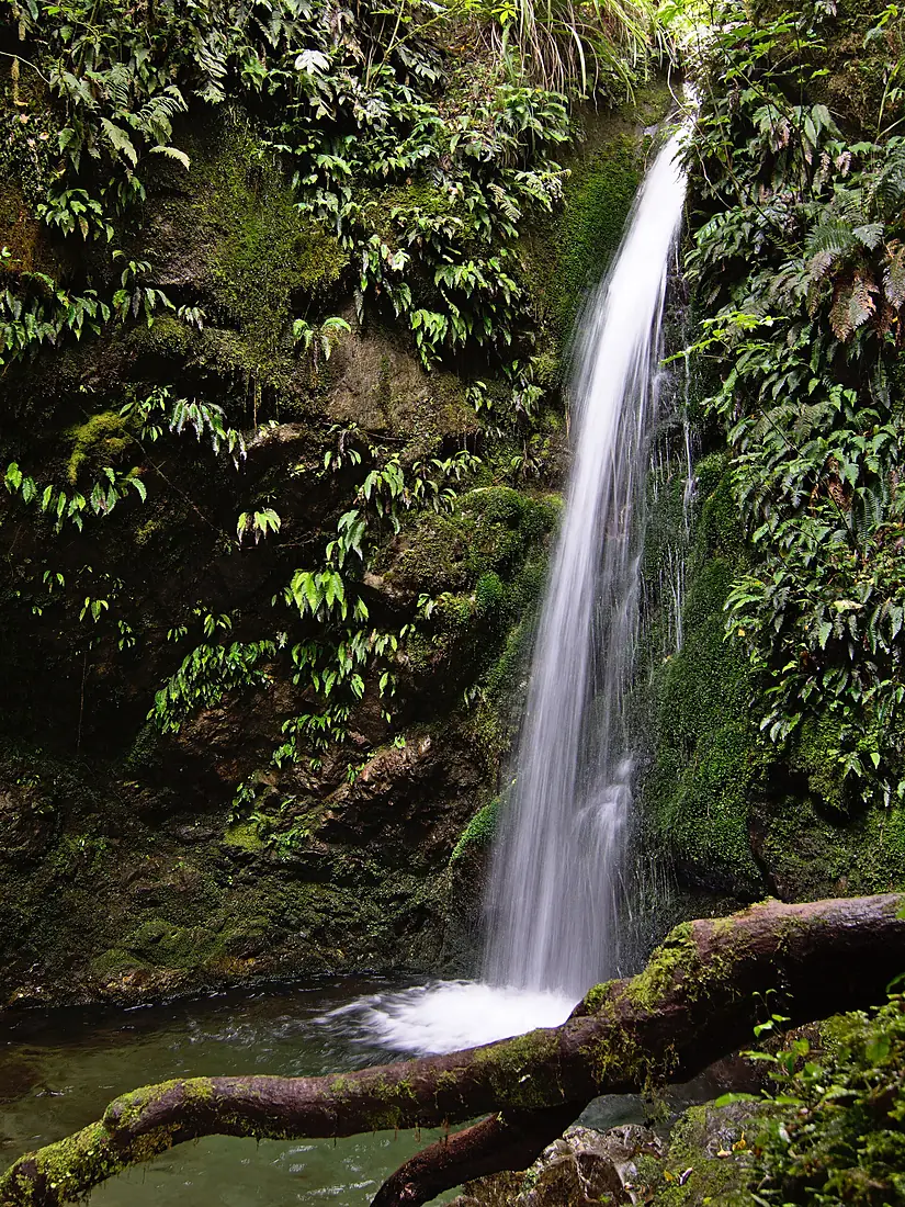 Emily Falls (portrait)