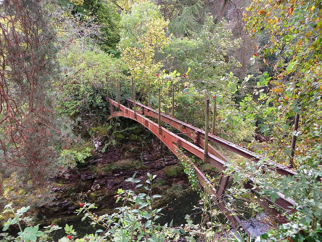 Falls of Clyde (29399242073)