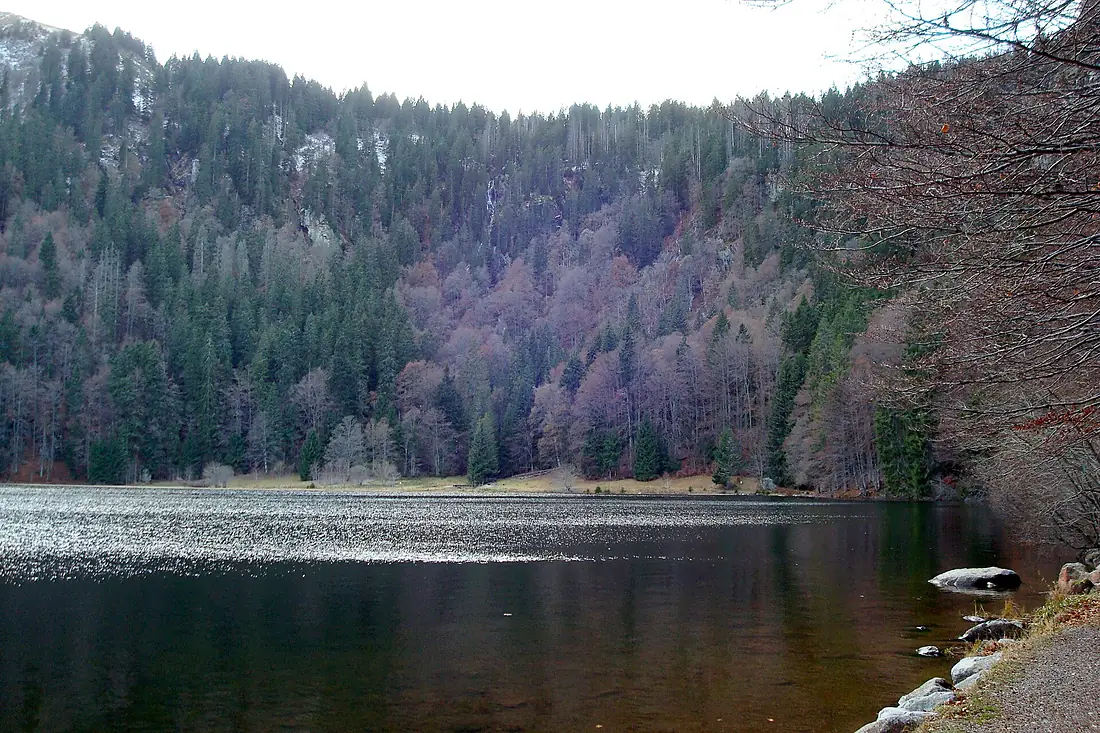 Feldsee 2009-11-28 from N-E to S-W