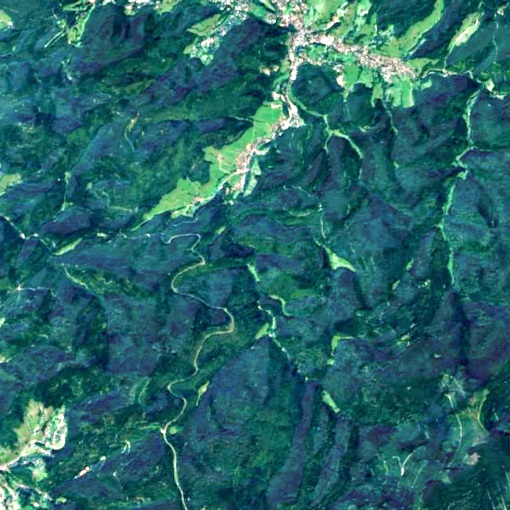 Geroldsau Waterfall seen from above (Sentinel-2)