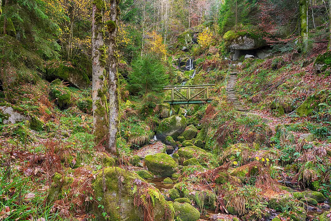 Bühlertal - Gertelbacher Wasserfälle 2018 Bild 1