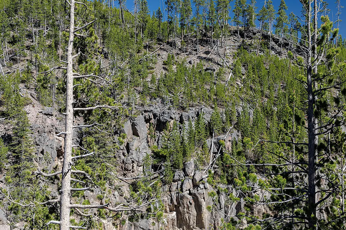 Yellowstone National Park (WY, USA), Gibbon Canyon -- 2022 -- 2646
