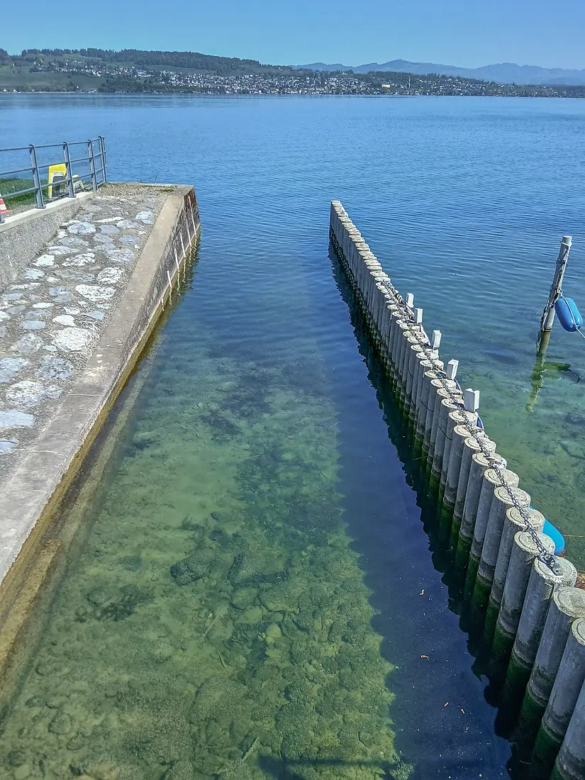Mündung des Reidbachs in den Zürichsee, Wädenswil ZH 20260423-jag9889