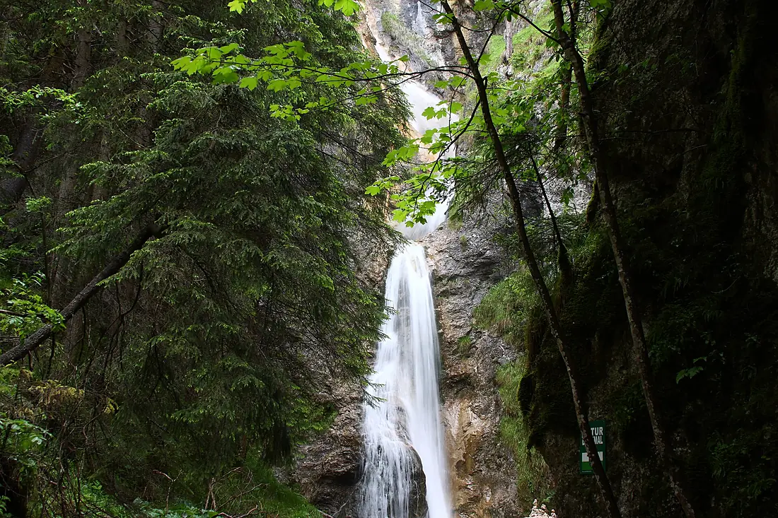Gradenbachwasserfall 59104 2014-05-30