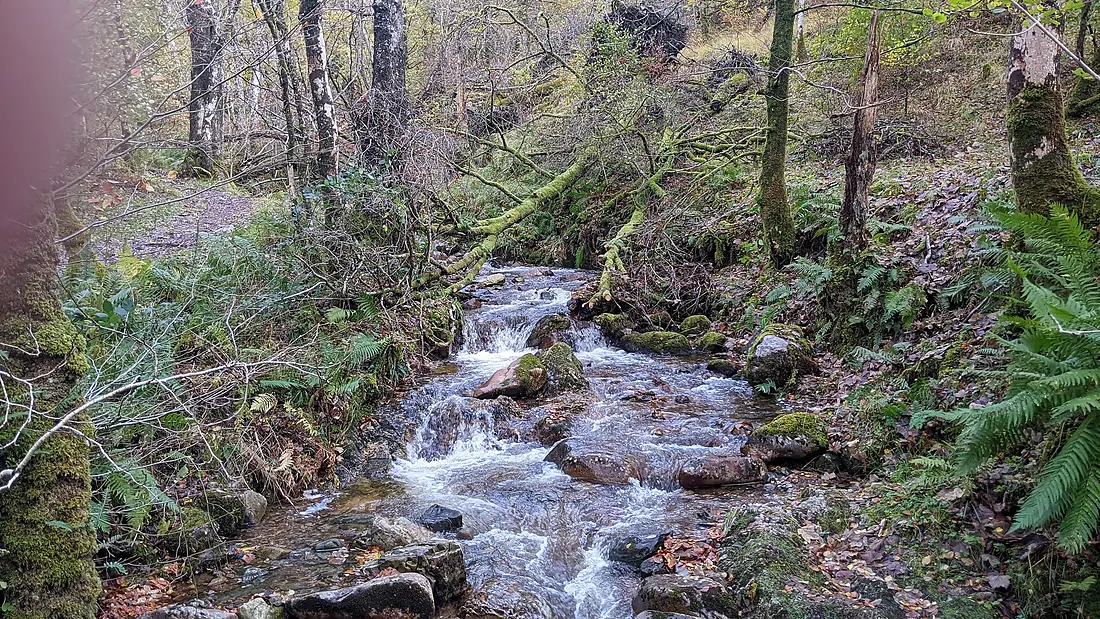 Near grey Mare's Waterfall