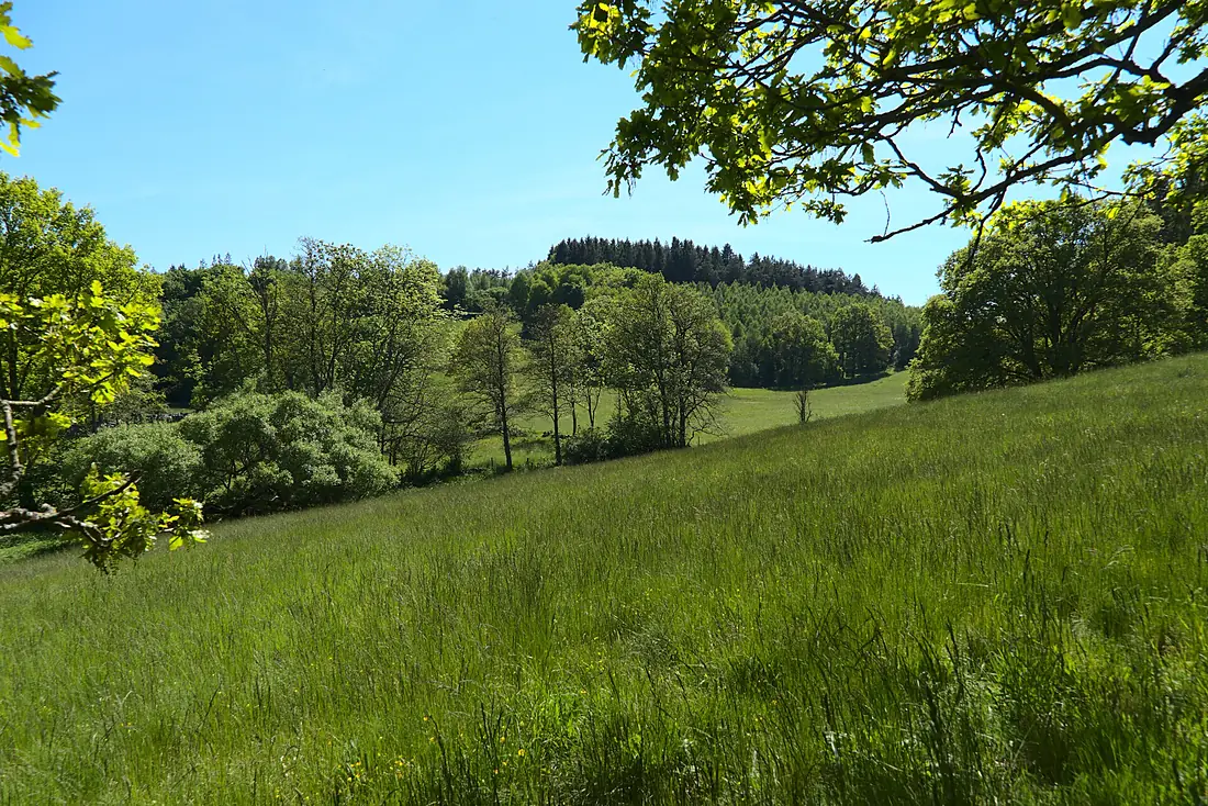 Hallamölla, Skåne, Sweden