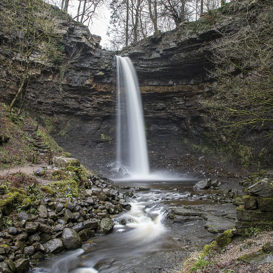 Hardraw Force Jan 22