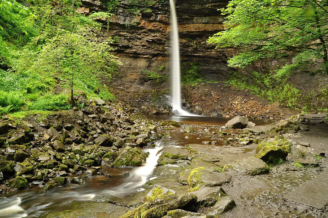 Hardraw Force (6249)